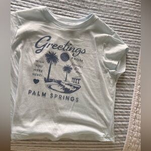 Palm Springs Cropped T-Shirt - Light Blue